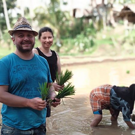 Alfarizi Homestay Tetebatu Eksteriør bilde
