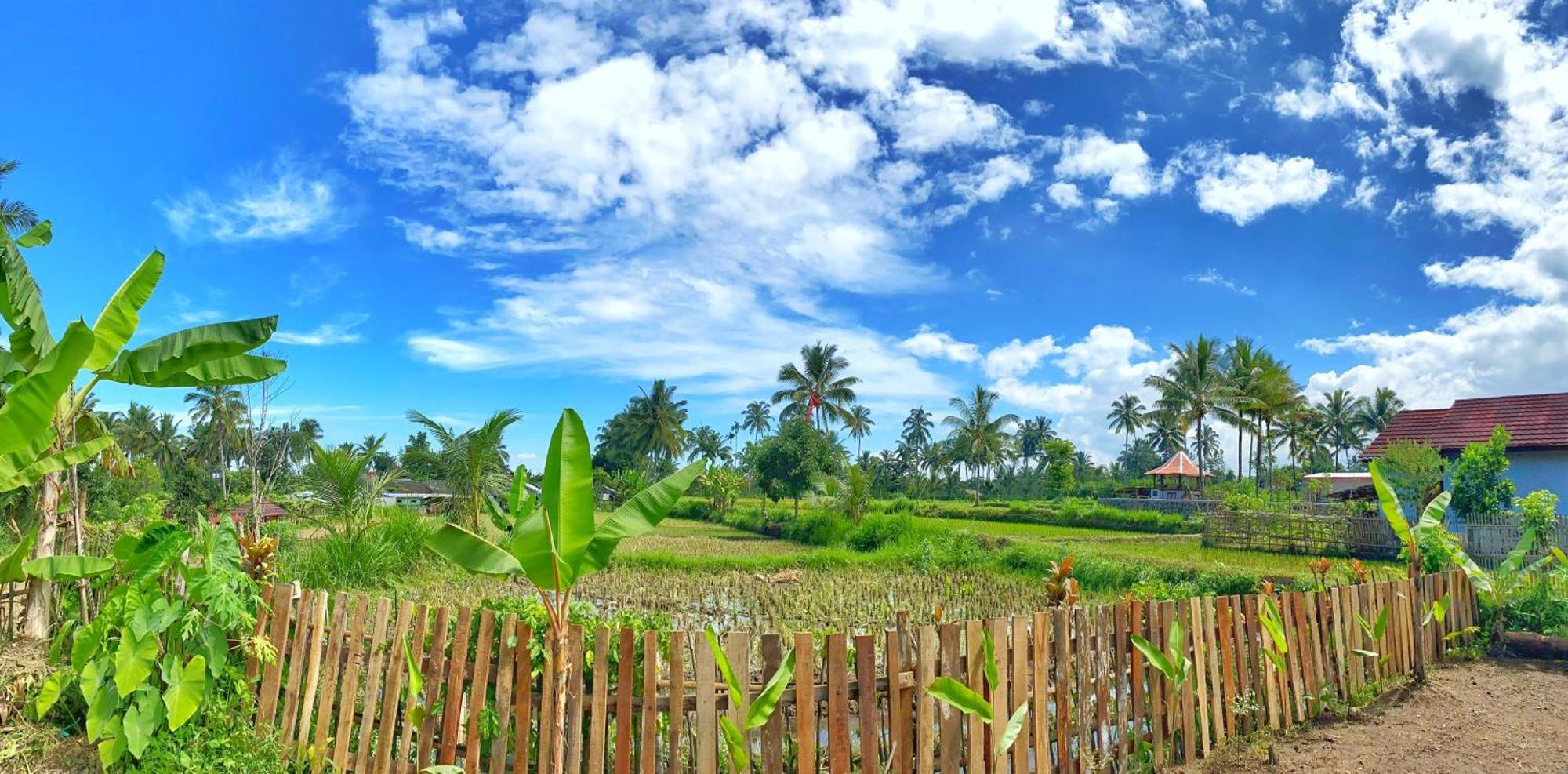 Alfarizi Homestay Tetebatu Eksteriør bilde