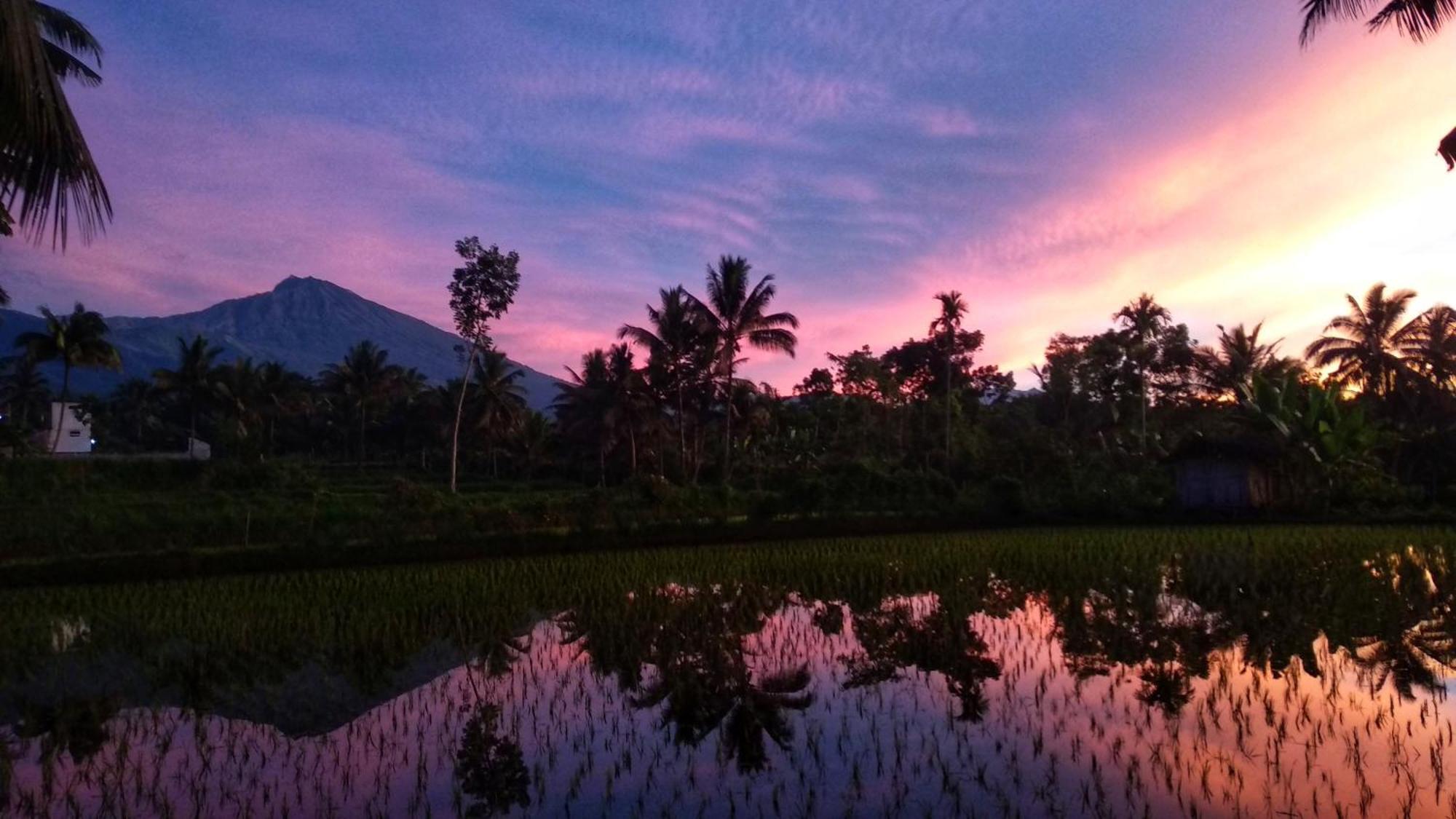 Alfarizi Homestay Tetebatu Eksteriør bilde