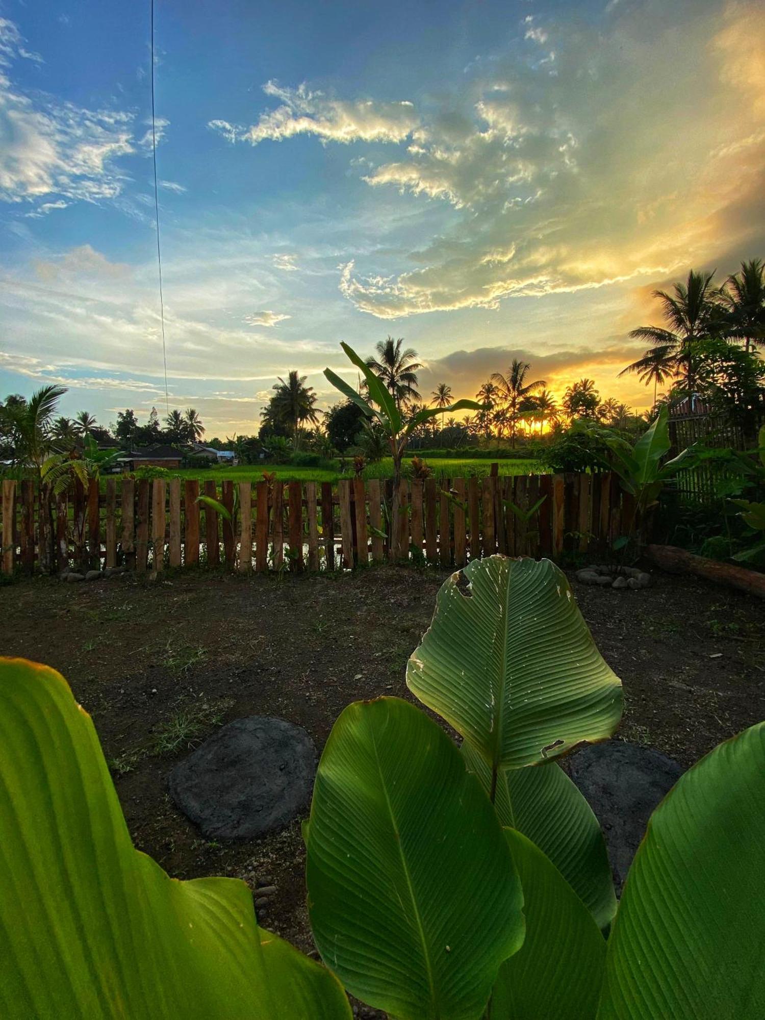 Alfarizi Homestay Tetebatu Eksteriør bilde