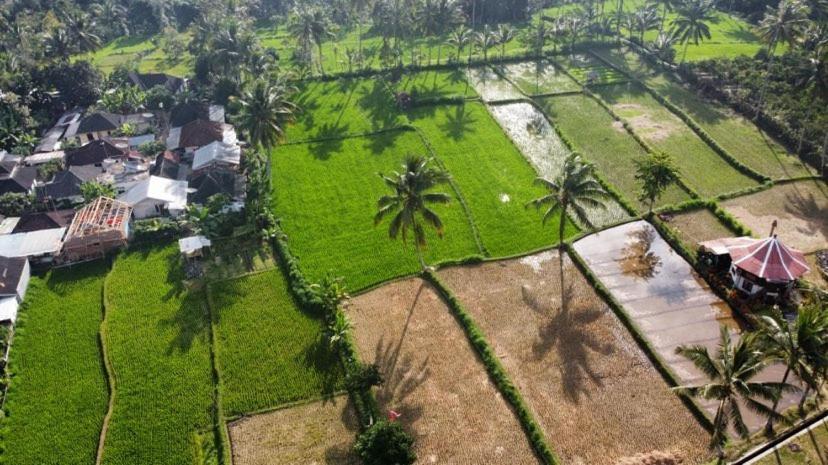 Alfarizi Homestay Tetebatu Eksteriør bilde